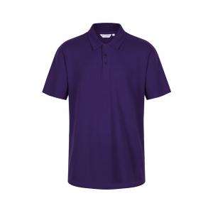 Category Polo Shirts & Tshirts image