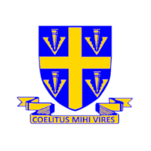 Category Ranelagh School image